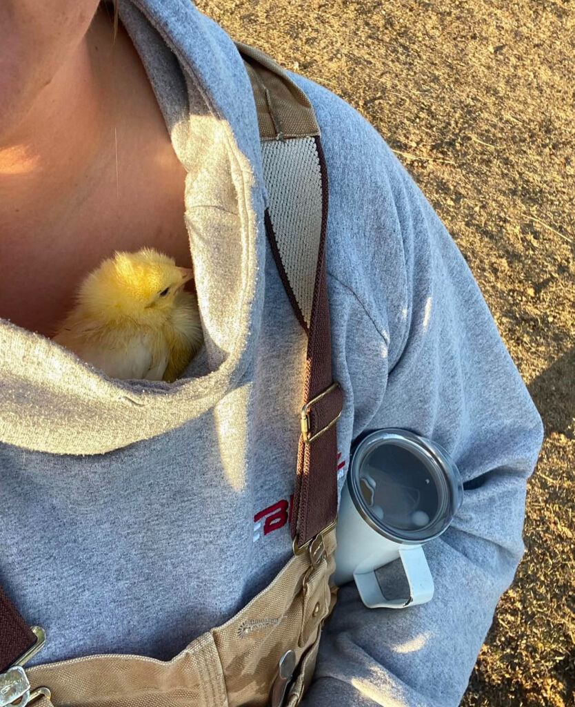 a person in coveralls and a grey hoody with a small yellow chick sitting in the neck.