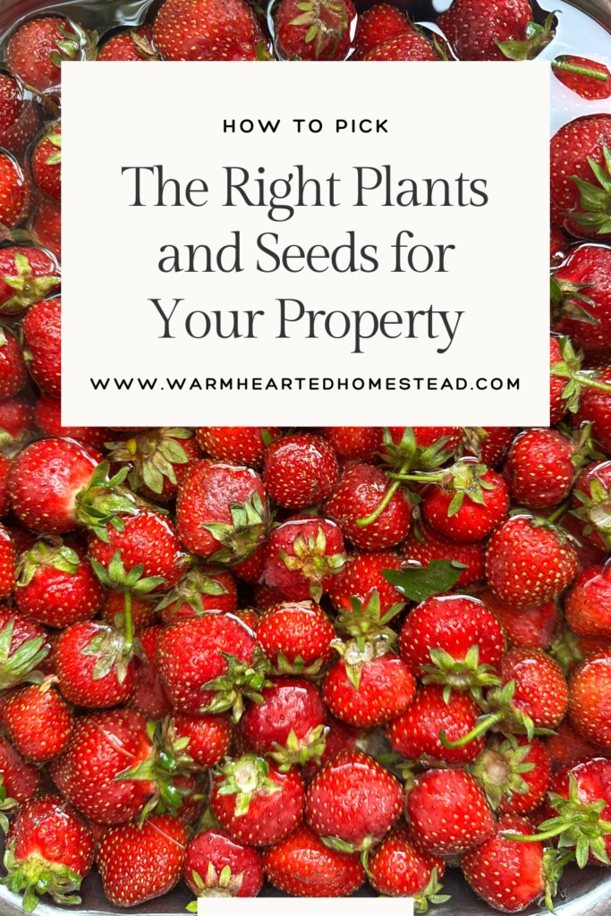 How to pick the right plants and seeds for your property banner. With a large amount of fresh strawberries sitting in water.
