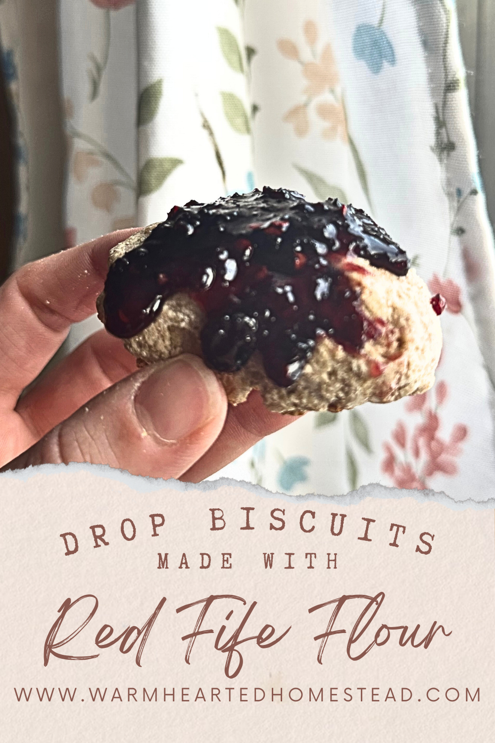 Drop biscuits made with red fife flour drop biscuits banner. Hand holding a red fife drop biscuit covered in saskatoon berry jam.