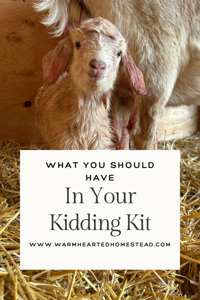 What you should have in your kidding kit banner. New born goat standing after kidding