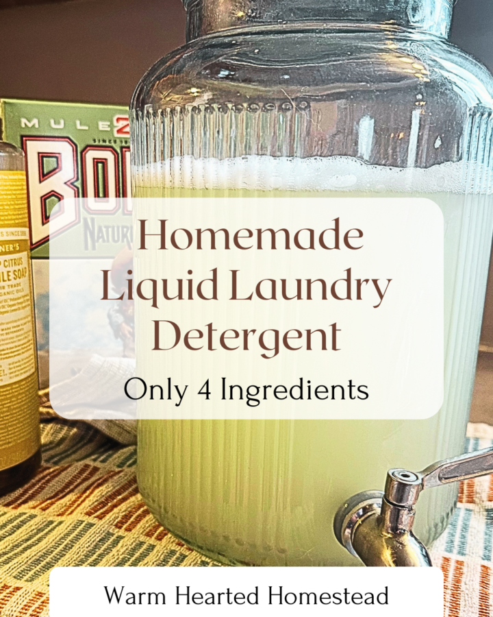 Diy Homemade Liquid laundry detergent with only 4 ingredients warm hearted homestead banner. A large glass jar fill with homemade liquid laundry detergent. Castile soap and borax in the background.